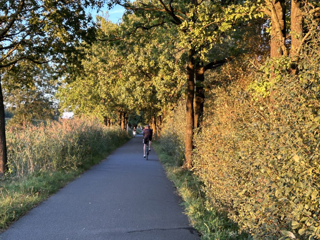 Weg durch Borgfeld im Herbst