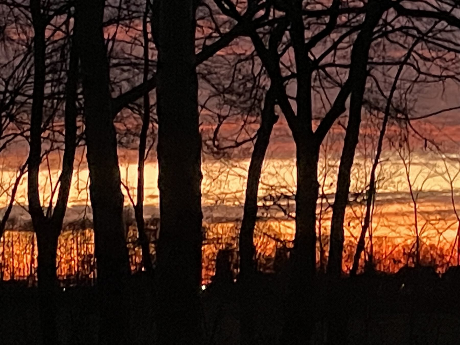 Wanderweg am Abend in Borgfeld