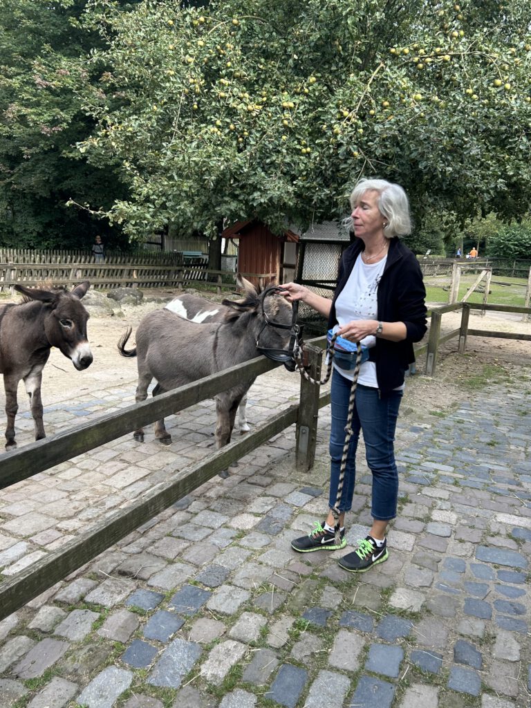 Vorbereitung für den Freigang