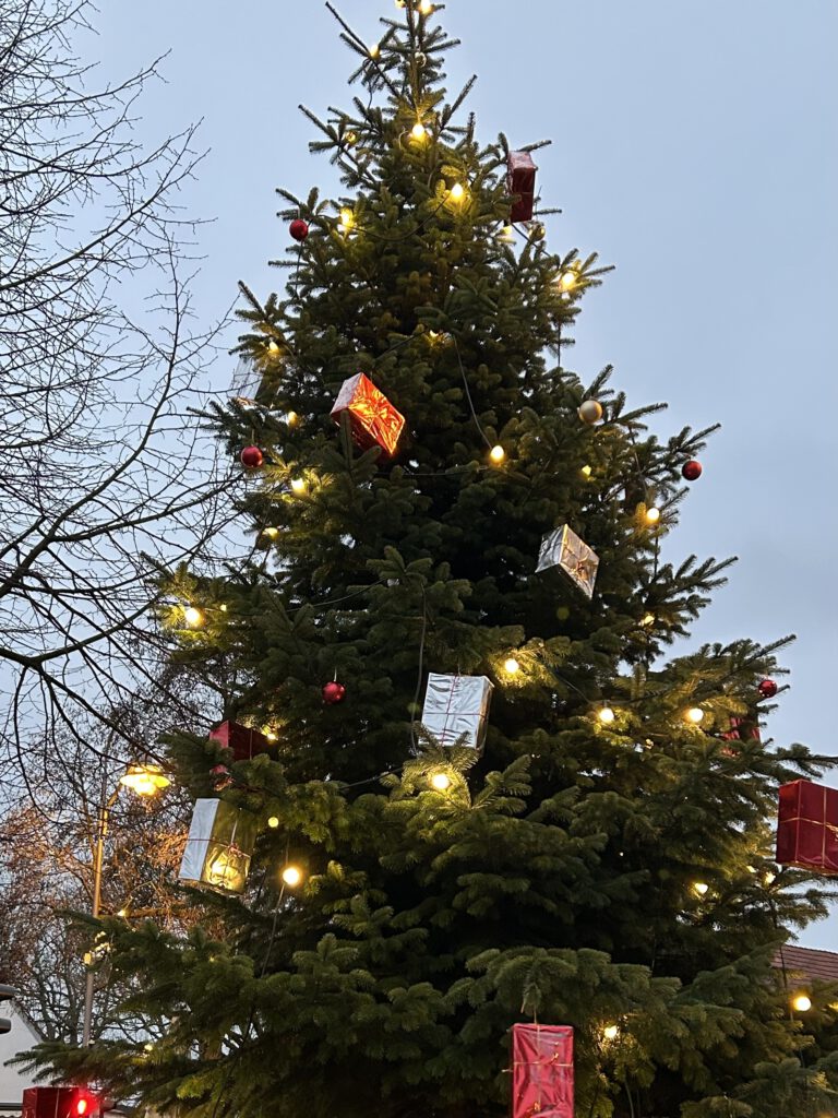 Weihnachtsbaum in Borgfeld