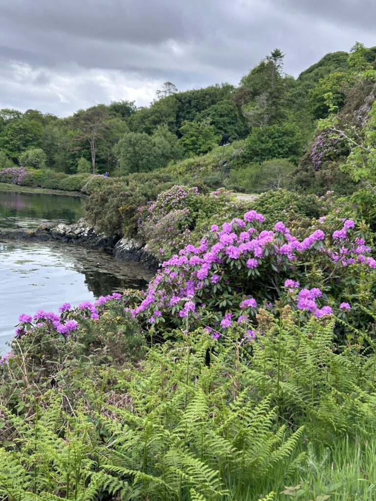 Schottland