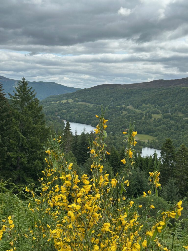 Schottland Highlands