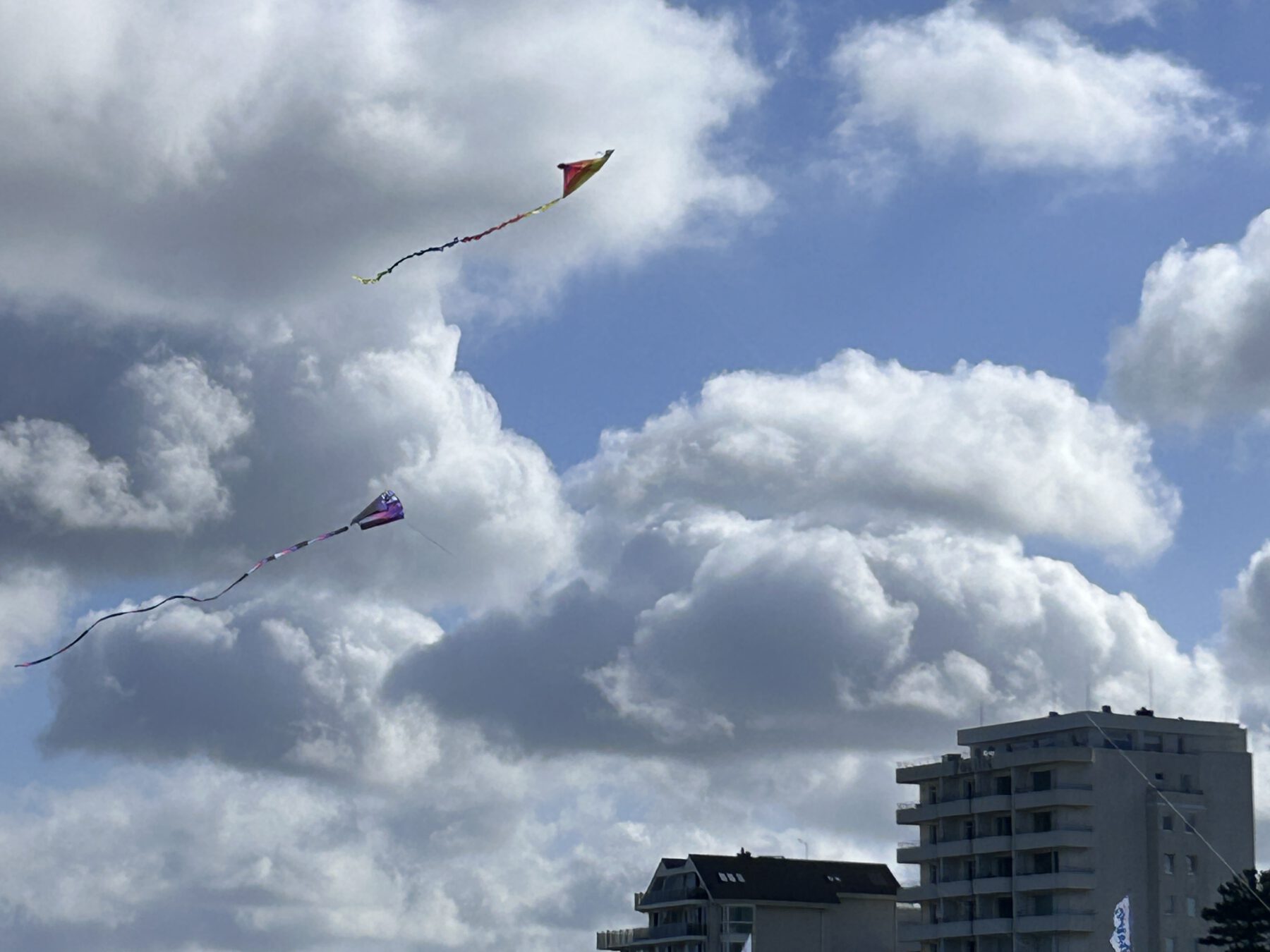Cuxhaven Drachen im Wind