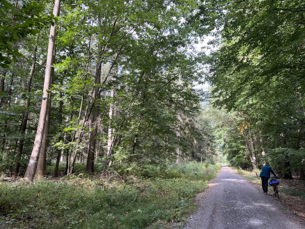 Unterwegs auf Erdmann-Radtour