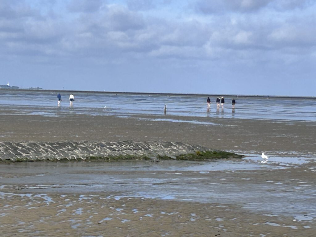 Cuxhaven Watt