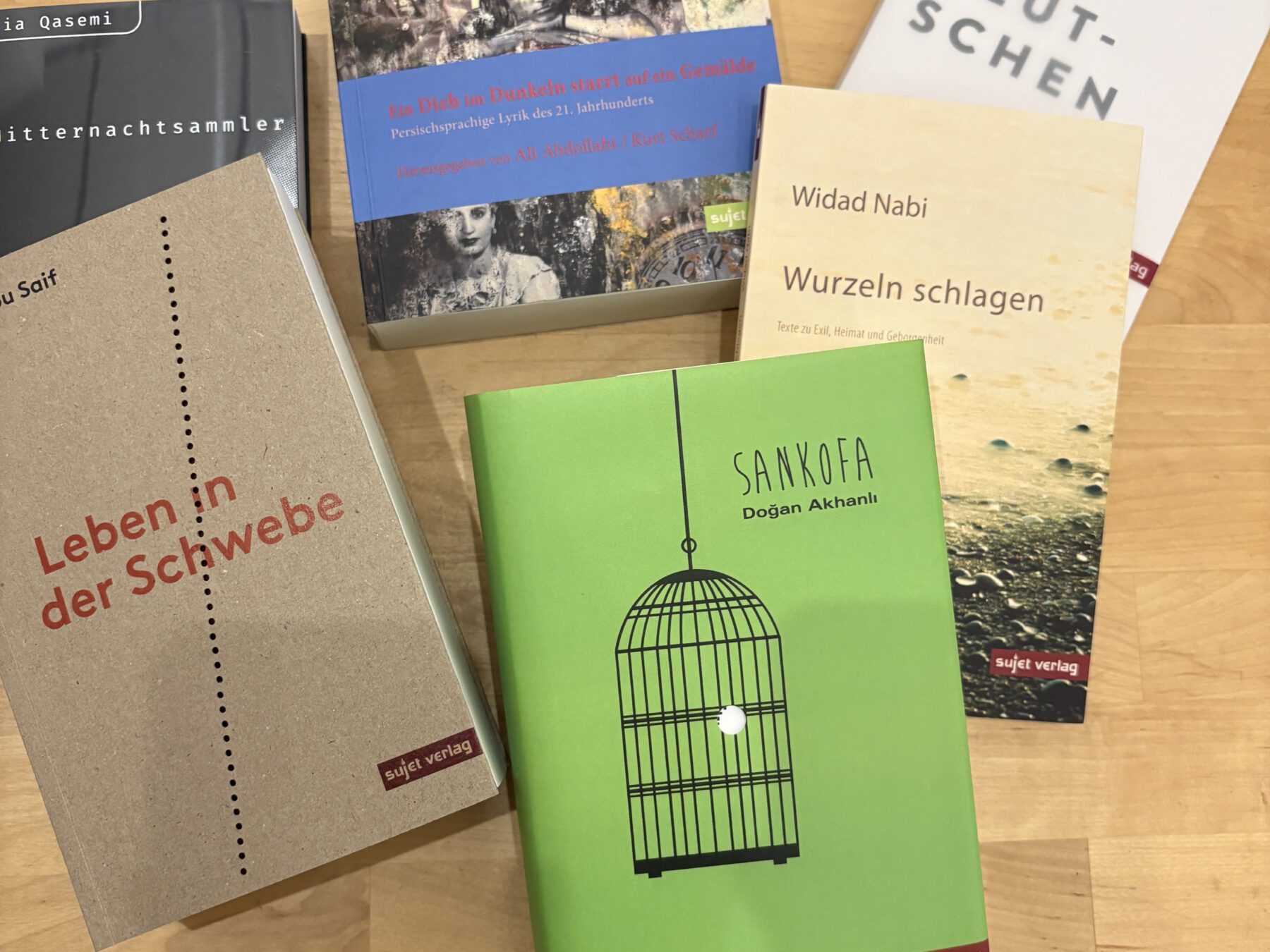 Auswahl Romane_Sujet-Verlag