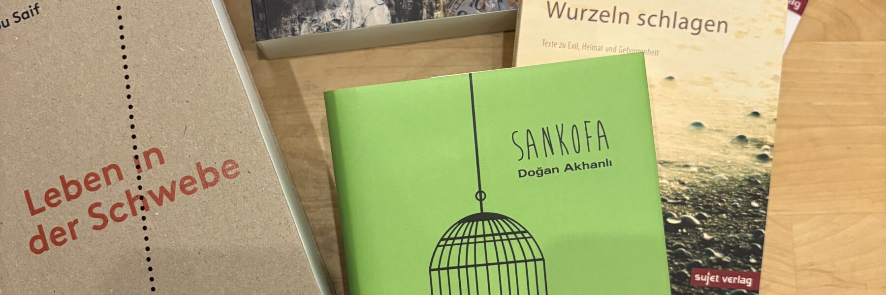 Auswahl Romane_Sujet-Verlag