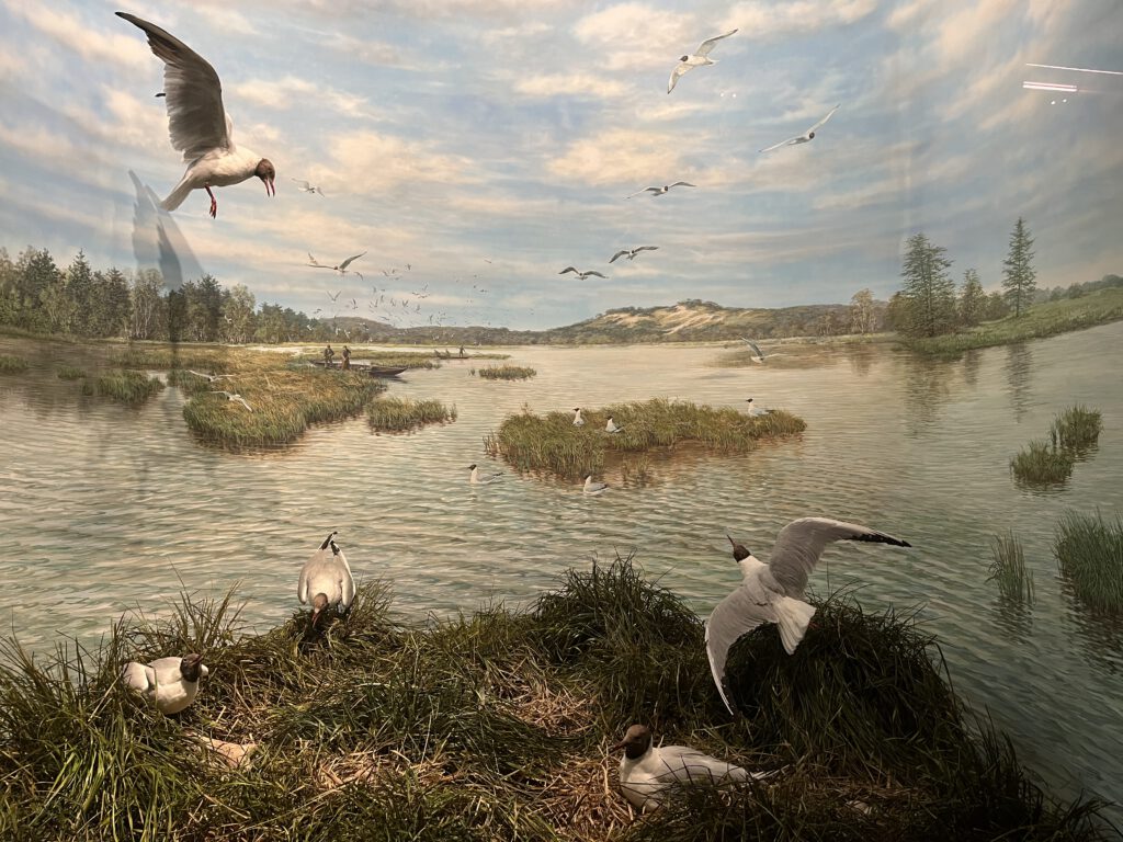 Ostpreußische Landschaften